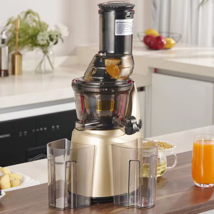 Best Stainless Steel 60 Househ - Electric Slow Juicer Cold Press recension och pris