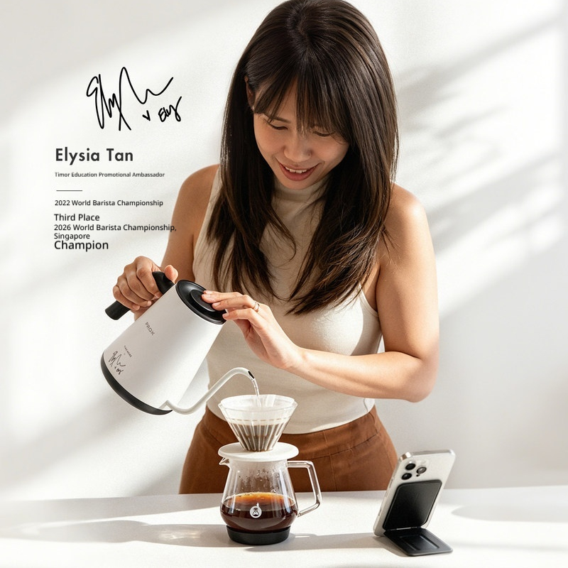 Timemore Fish Pro X Electric G - Electric Kettle Temperature Control recension och pris
