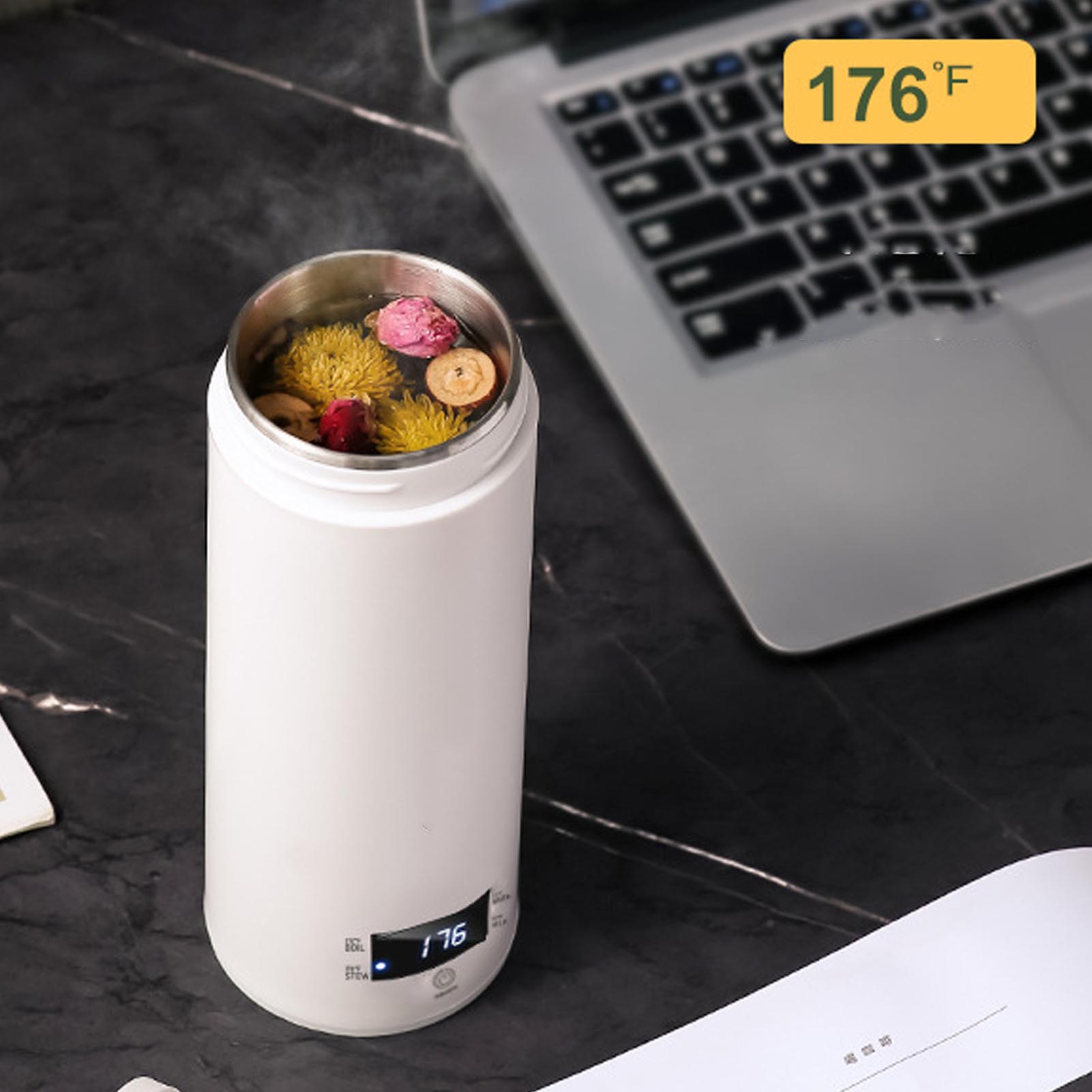 Mini Portable Electric Kettle  - Electric Kettle Temperature Control recension och pris