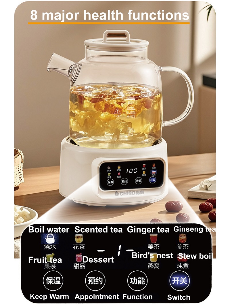 600W Multi-function Health Ket - Electric Kettle Temperature Control recension och pris